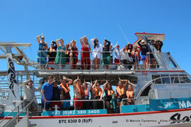 Daily Blog: 05 December 2022 | Shark Cage Diving in South Africa