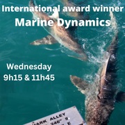 Next Marine Dynamics Shark Cage Diving Trip: 7 December 2022
