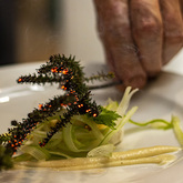 Fireworks On Cheese - Schneiderâ€™s Cape Floral Kitchen - Xplorioâ„¢ Gansbaai 