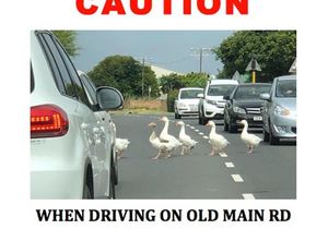 Caution when driving on Overstrand roads