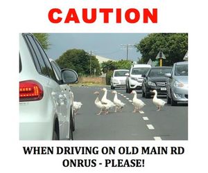 Caution when driving on Overstrand roads