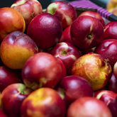 Freshly Picked - Die Markie LaBoucherie - Xplorioâ„¢ Gansbaai 