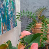 Plant Interest - Saxon Lodge - Xplorioâ„¢ Gansbaai 