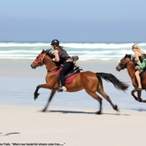 Horse Riding - Saxon Lodge - Xplorioâ„¢ Gansbaai 