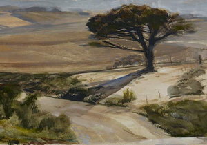 Week 41 of 2013 – Gansbaai News, Specials & Events