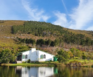 Wine Tasting and Sales: By Appointment