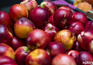 Fresh Food Market in Gansbaai
