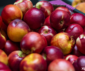 Fresh Food Market in Gansbaai