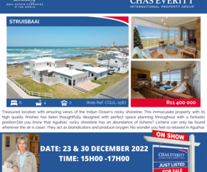 Show House in StruisbaaiÂ 23 + 30 December 2022 (R11,400,000)