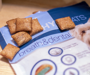 Your Local Gansbaai Pet Shop