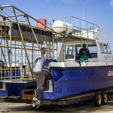 Boat - Cape Shark Adventures - Xplorioâ„¢ Gansbaai