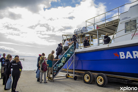 gansbaai_things_to_do_cape_shark_adventures_boarding_1671783374