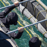 Shark Cage Diving - Cape Shark Adventures - Xplorioâ„¢ Gansbaai