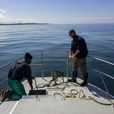Boat at Sea - Cape Shark Adventures - Xplorioâ„¢ Gansbaai
