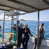 Shark Trip - Cape Shark Adventures - Xplorioâ„¢ Gansbaai