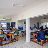 Meal After Trip - Cape Shark Adventures - Xplorioâ„¢ Gansbaai