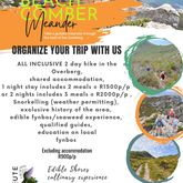 beach Comber and Edible Shores