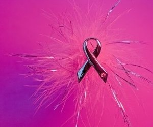 Week 42 of 2013 – Gansbaai News, Specials & Events