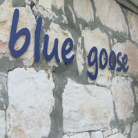 Blue Goose