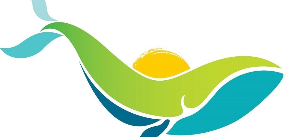 Heart of the Cape Whale Coast