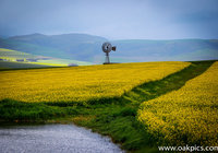 Greyton / Genadendal Gallery