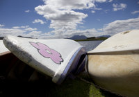 Kleinmond Top Attractions