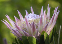 Caledon Top Attractions