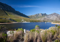 Pringle Bay & Rooi Els Top Attractions