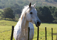 Swellendam Galleries