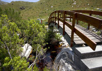 Betty's Bay Top Attraction