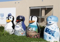 Gansbaai Penguin Campaign