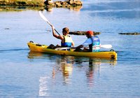 Stanford Top Attractions